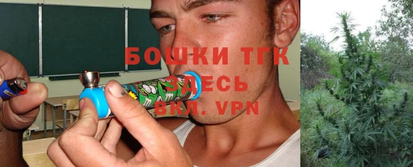 гидра Краснослободск